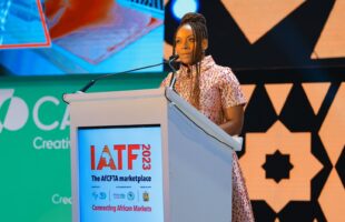 Adichie emphasizes Africa's need for more stories and literature