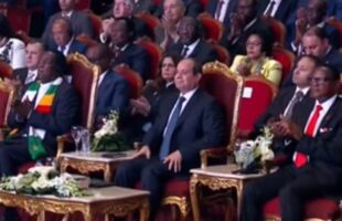 Egypt keen to play positive role in Africa, says President Sisi